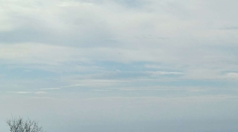 Malaga - Algarrobo - 12000m2