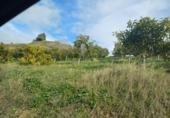 Non-developable land for sale in Algarrobo ref: TR380372 photo