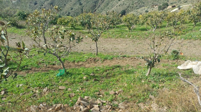 Malaga - Algarrobo - 12000m2