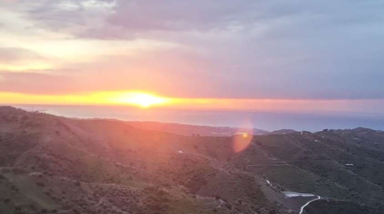 Málaga - Moclinejo - 8000m2