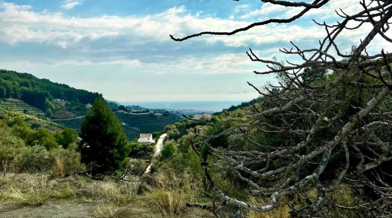 Málaga - Frigiliana - 9900m2