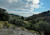 Finca rústica en venda a la Barranco Fernández. 29788, Frigiliana, ref.: TR37235 foto