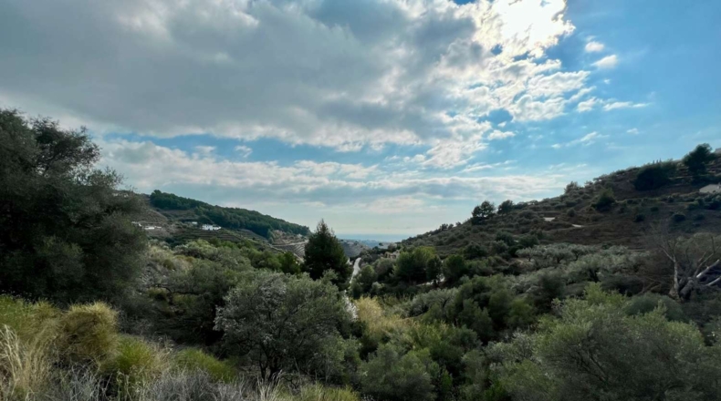Málaga - Frigiliana - 9900m2
