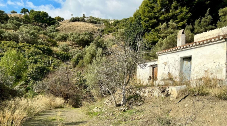 Málaga - Frigiliana - 9900m2