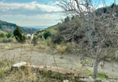 Finca rústica en venda a la Barranco Fernández. 29788, Frigiliana, ref.: TR37235 foto