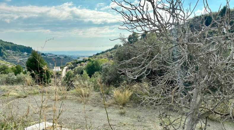 Málaga - Frigiliana - 9900m2