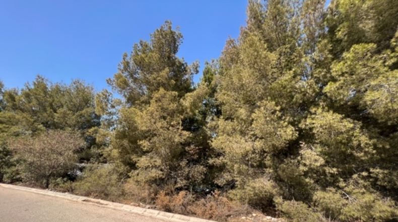 Málaga - Frigiliana - 5739m2