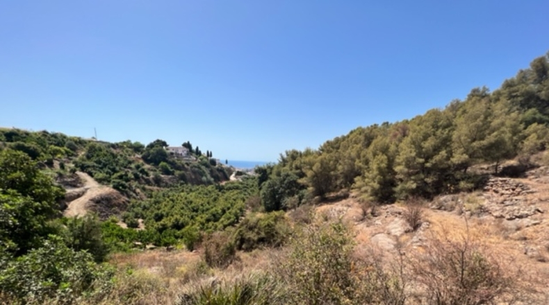 Málaga - Frigiliana - 5739m2