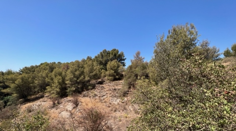 Málaga - Frigiliana - 5739m2
