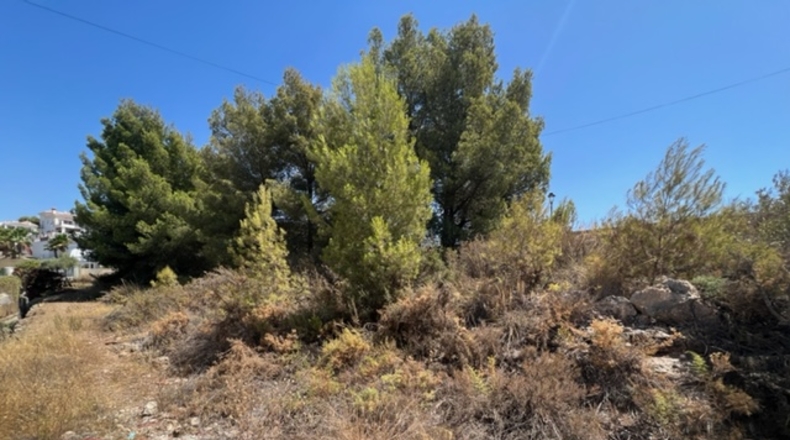 Málaga - Frigiliana - 5739m2