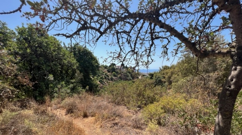 Málaga - Frigiliana - 5739m2