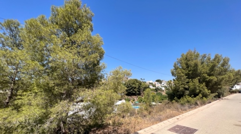 Málaga - Frigiliana - 5739m2