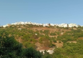 Non-developable land for sale in Frigiliana ref: TR305940 photo