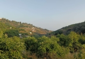 Non-developable land for sale in Frigiliana ref: TR305940 photo