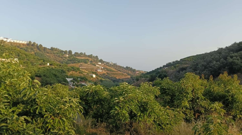 Málaga - Frigiliana - 1780m2