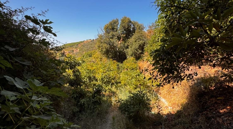 Málaga - Frigiliana - 1780m2