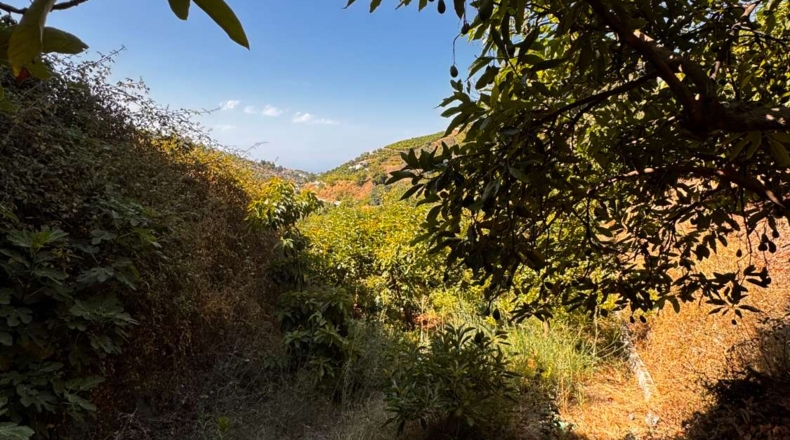 Málaga - Frigiliana - 1780m2