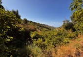 Non-developable land for sale in Frigiliana ref: TR305940 photo
