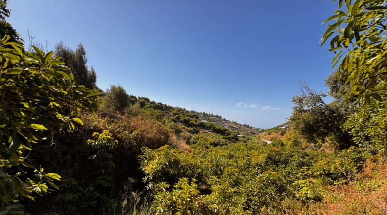 Málaga - Frigiliana - 1780m2