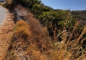 Non-developable land for sale in Frigiliana ref: TR305940 photo