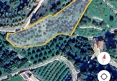 Non-developable land for sale in Frigiliana ref: TR305940 photo