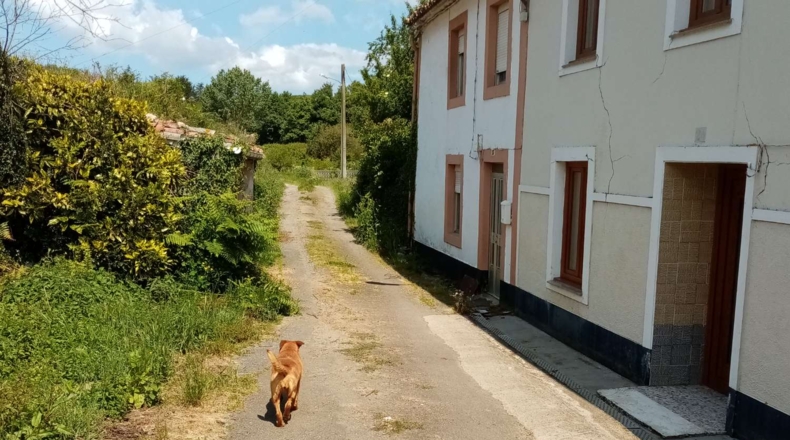 La Coruña - Souto - 3000m2