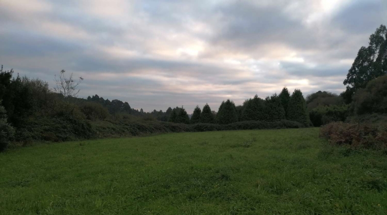 La Coruña - A Graña - 11000m2