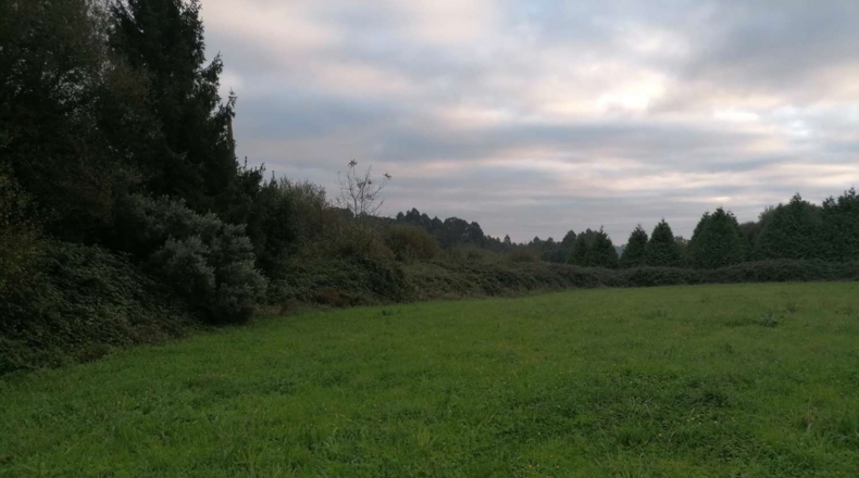 La Coruña - A Graña - 11000m2
