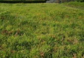 Terreno no urbanizable en venta en Coirós de Arriba ref: TR231205 foto