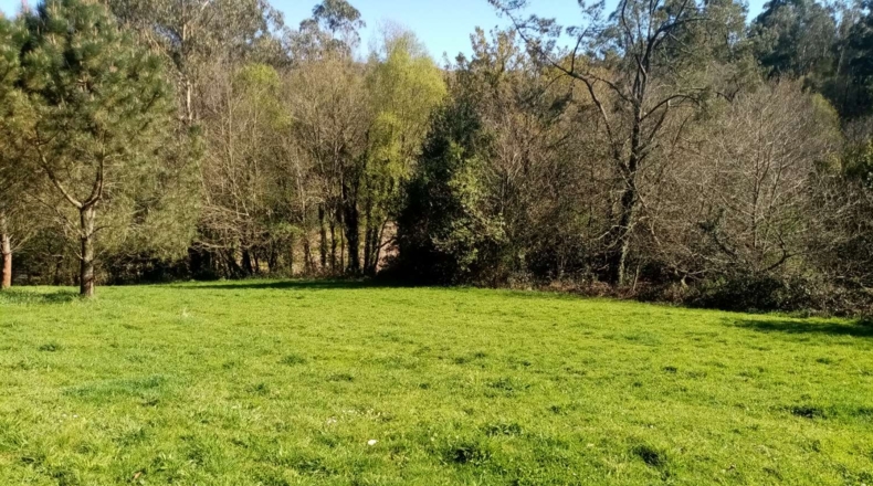 La Coruña - A Portela - 10000m2