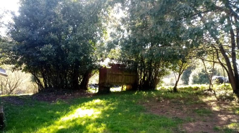 La Coruña - A Portela - 10000m2