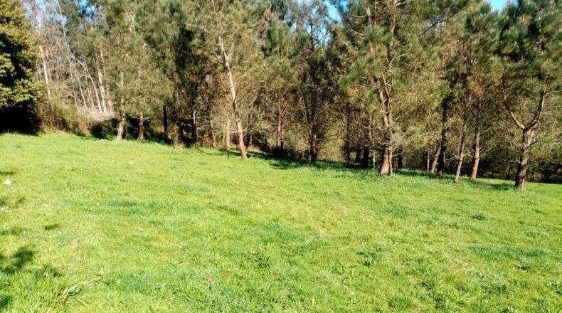 La Coruña - A Portela - 10000m2