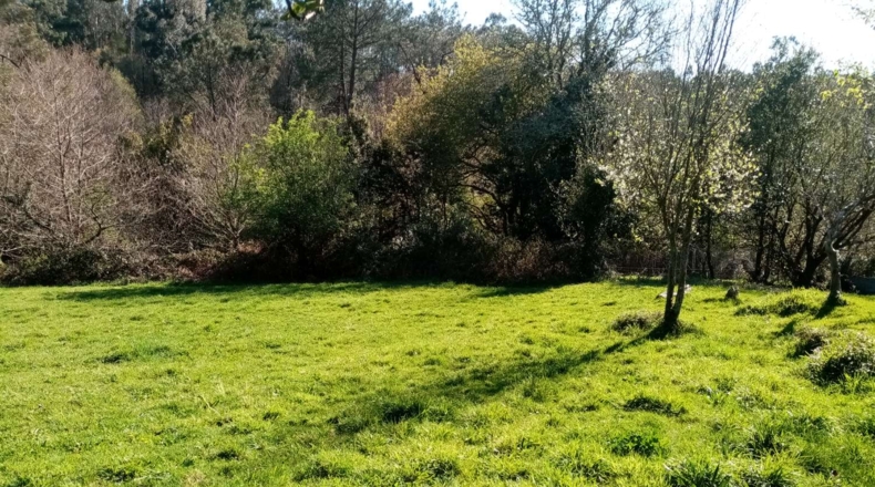 La Coruña - A Portela - 10000m2