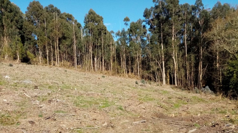 La Coruña - A Portela - 10000m2