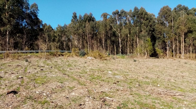 La Coruña - A Portela - 10000m2