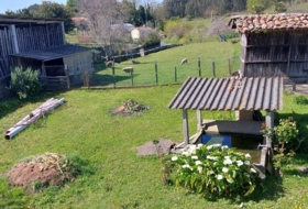 Foto 15