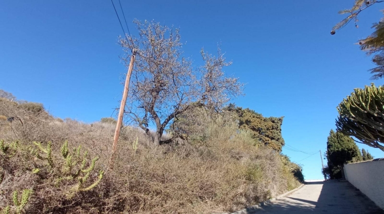 Granada - Salobreña - 532m2