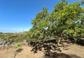 Casa de pueblo en venta en la Las Zorreras, Motril, ref: TR59099 foto