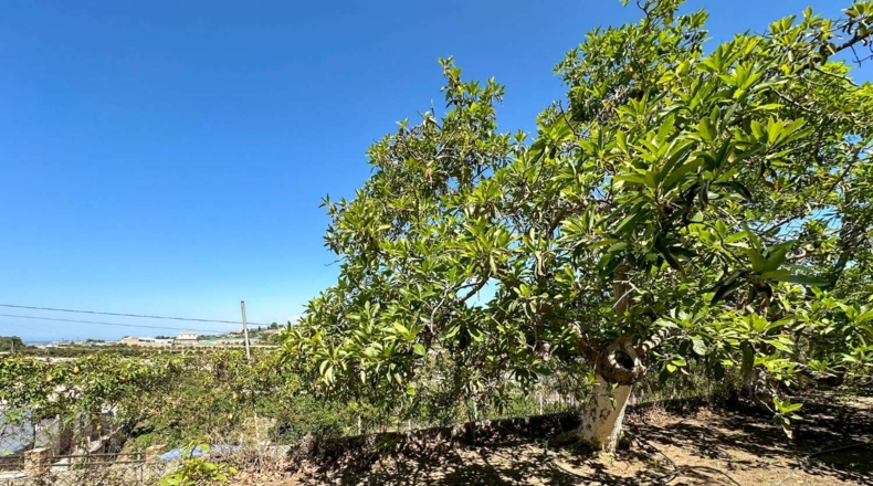 Granada - Motril - 3593m2