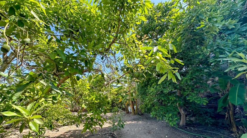 Granada - Motril - 3593m2