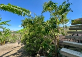 Casa de pueblo en venta en la Las Zorreras, Motril, ref: TR59099 foto