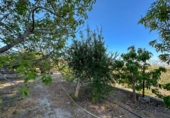 Casa de pueblo en venta en la Las Zorreras, Motril, ref: TR59099 foto