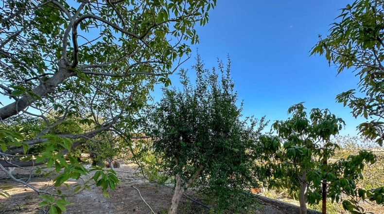 Granada - Motril - 3593m2