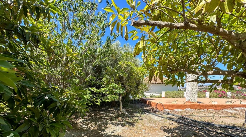Granada - Motril - 3593m2