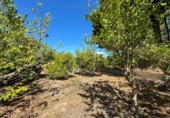Casa de pueblo en venta en la Las Zorreras, Motril, ref: TR59099 foto