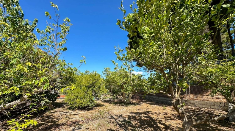 Granada - Motril - 3593m2