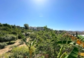 Casa de pueblo en venta en la Las Zorreras, Motril, ref: TR59099 foto