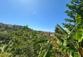 Casa de pueblo en venta en la Las Zorreras, Motril, ref: TR59099 foto