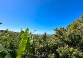 Casa de pueblo en venta en la Las Zorreras, Motril, ref: TR59099 foto