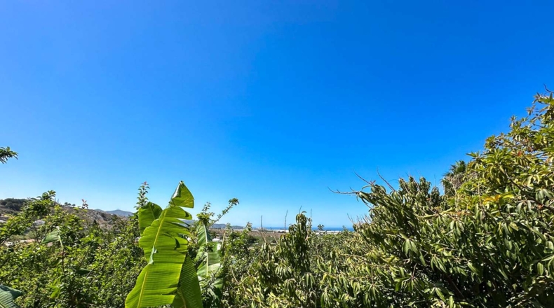 Granada - Motril - 3593m2